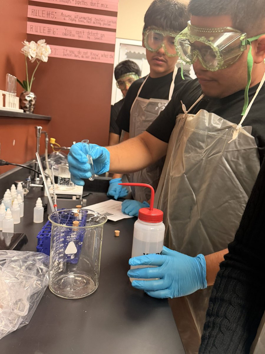 SpringISD_AdvAc's tweet photo. These will be our future chemists and pharmacists.  Just wait for it. https://t.co/2Pu4XVmd86
