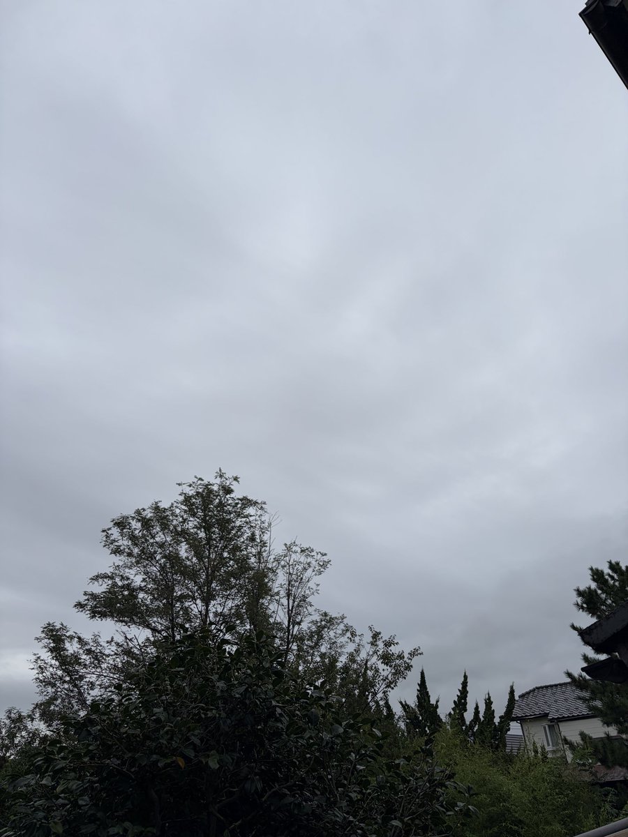 chatora32915830's tweet photo. おはようございます😊

天気は☂️🌩️
最高気温23℃

雨の日が続きますね💦
雨の中☂️原坊の朝顔が咲いて
いました💠💕

今日も良い一日をお過ごし
くださいね🫶🥰
#原坊の朝顔 
#イマソラ https://t.co/n0275aT5qC