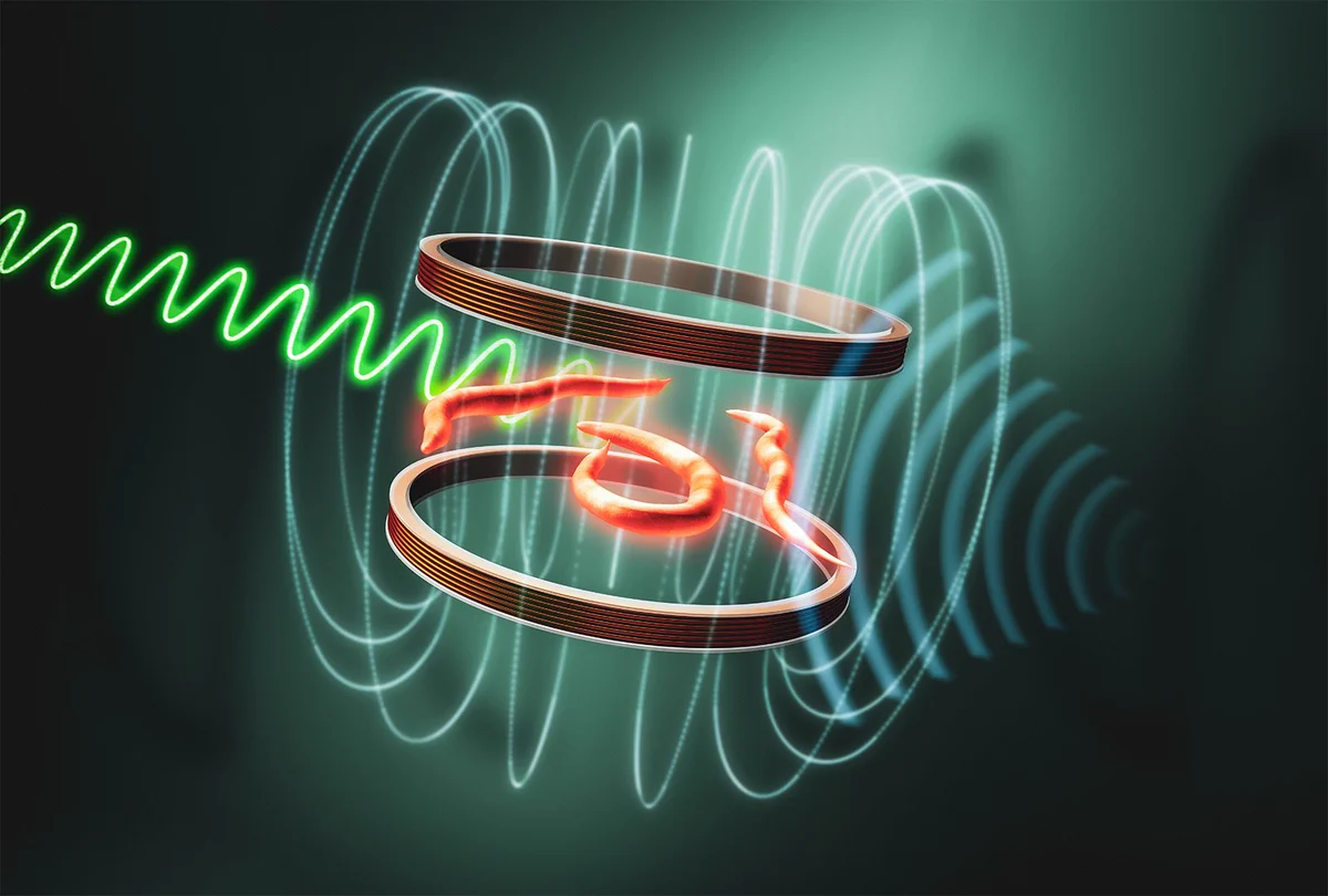 An artistic representation showing radio frequency waves and magnets interacting with fluorescent red worms. Credit: Greg Stewart/SLAC