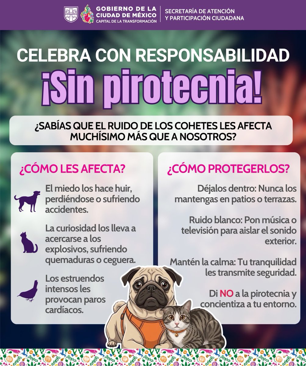 SAPCI_CDMX's tweet photo. Durante estas fiestas, evitemos el uso de pirotecnia y reduzcamos los riesgos para las personas, los animales y el medio ambiente. 🐶🐱🇲🇽

Celebremos con responsabilidad y hagamos de estas fechas un momento seguro y tranquilo para todas y todos.

#LaPrevenciónEsNuestraFuerza https://t.co/StC33TZQoM