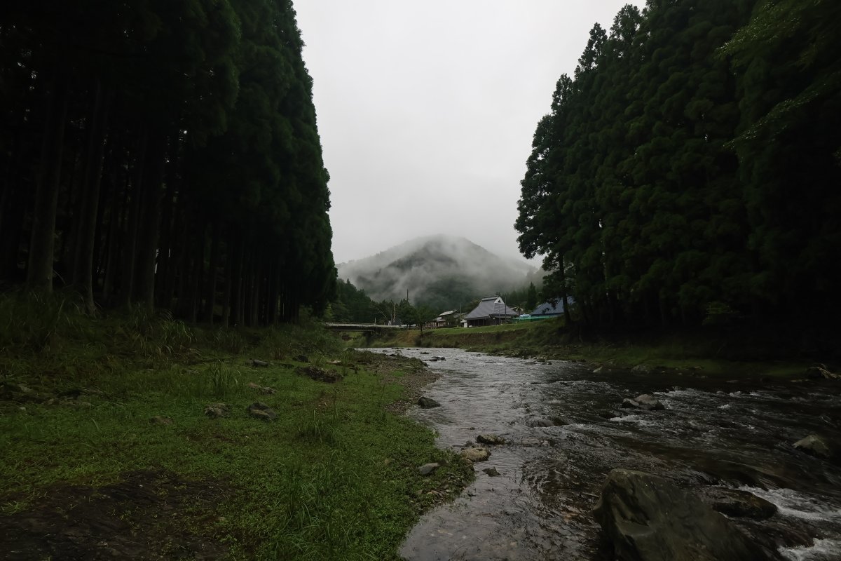 kutukikogawa's tweet photo. あさイチの下針畑https://t.co/MTX2JuxBHU。70~80%で雨にと。濁流だつた針畑川も、濁りは消えました。 #舎暮らし #針畑川 #針畑 #朽木 #滋賀県 #japan📷📷#朽木漁協組合 #自然 #天気 #写真 #鯖街道を歩く #あさイチ #countrysidelife #countryside #田舎生活 #秋雨前線 #田舎と都会 #農的庭 https://t.co/demk8d9lXI
