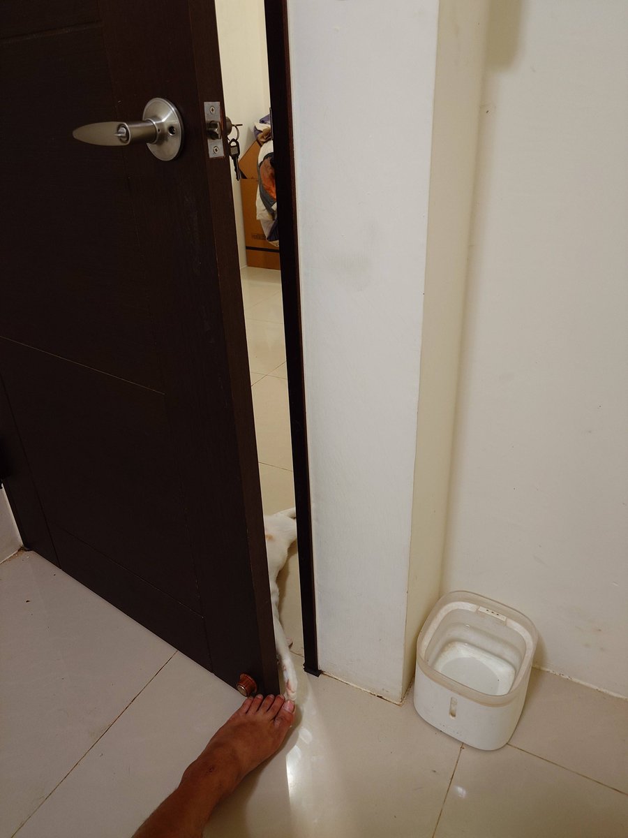 BellaCox6j's tweet photo. JJika rasa itu hanyalah sebuah ujian (cobaan batin), maka ia akan mereda dan berakhirika engkau jatuh cinta bersedekahlah... https://t.co/rZZBTbiVmN