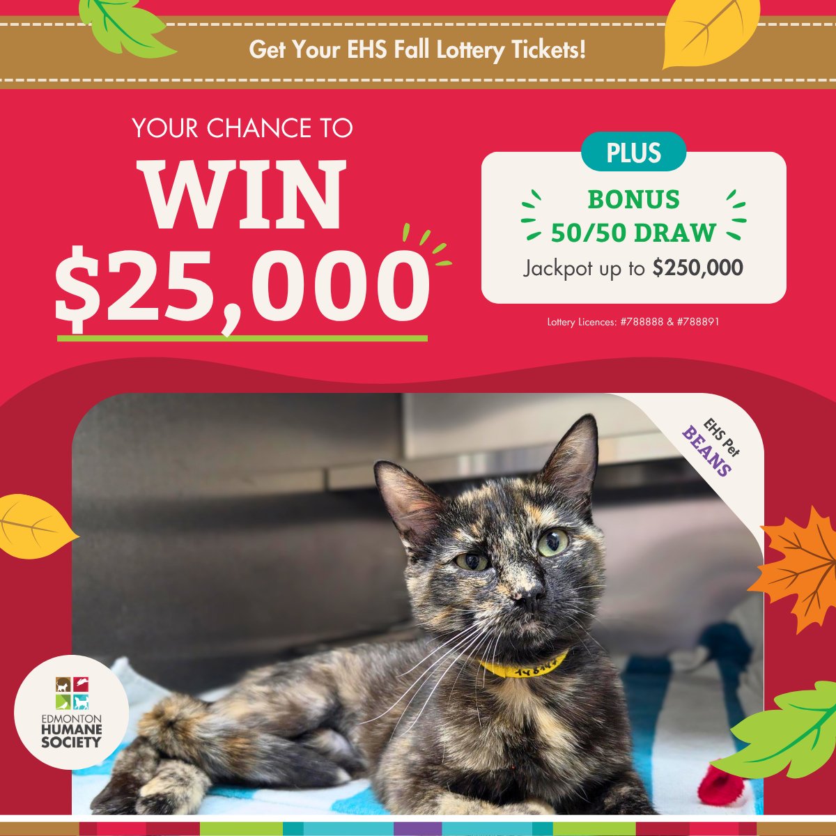 EdmontonHumane's tweet photo. Did you get your EHS Fall Lottery &amp; 50/50 tickets yet? 🍂

Every purchase supports our animals in care — all while giving you the chance to win a share of $54,000 in cash prizes &amp; half of the 50/50 jackpot that can go up to $250,000!

🐾 Get your tickets: https://t.co/LrSo63LpcP https://t.co/bAoQzEzee5
