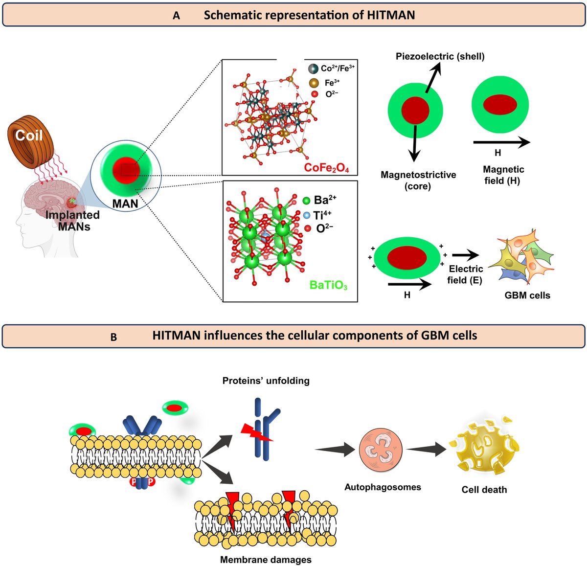 ScienceAdvances tweet picture