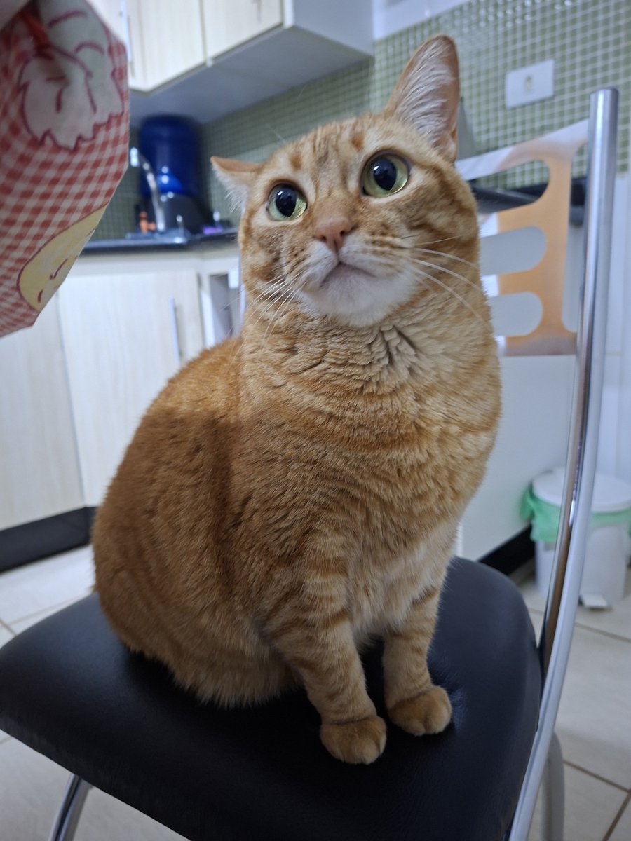 sleepheartzx's tweet photo. laranja e bolo de laranja https://t.co/lqUfzjkadq