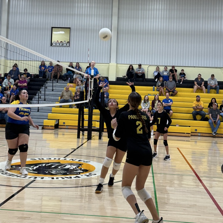 SPLSPanthers's tweet photo. Our first home volleyball games on Saturday were great!  Thank you to everyone who helped make it. It was fun to see St Paul alumni cheering on the girls and even jumped in at the end and volunteered to clean up!  #onceapantheralwaysapanther #volleyball #luthed https://t.co/HuruTAE9x6