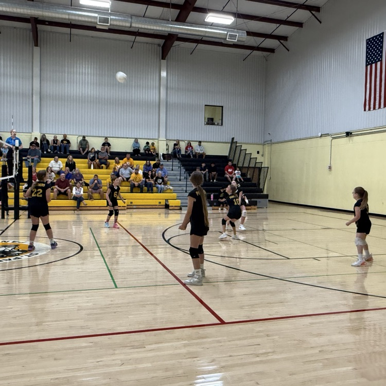 SPLSPanthers's tweet photo. Our first home volleyball games on Saturday were great!  Thank you to everyone who helped make it. It was fun to see St Paul alumni cheering on the girls and even jumped in at the end and volunteered to clean up!  #onceapantheralwaysapanther #volleyball #luthed https://t.co/HuruTAE9x6