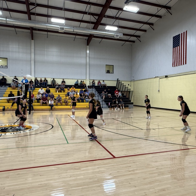 SPLSPanthers's tweet photo. Our first home volleyball games on Saturday were great!  Thank you to everyone who helped make it. It was fun to see St Paul alumni cheering on the girls and even jumped in at the end and volunteered to clean up!  #onceapantheralwaysapanther #volleyball #luthed https://t.co/HuruTAE9x6