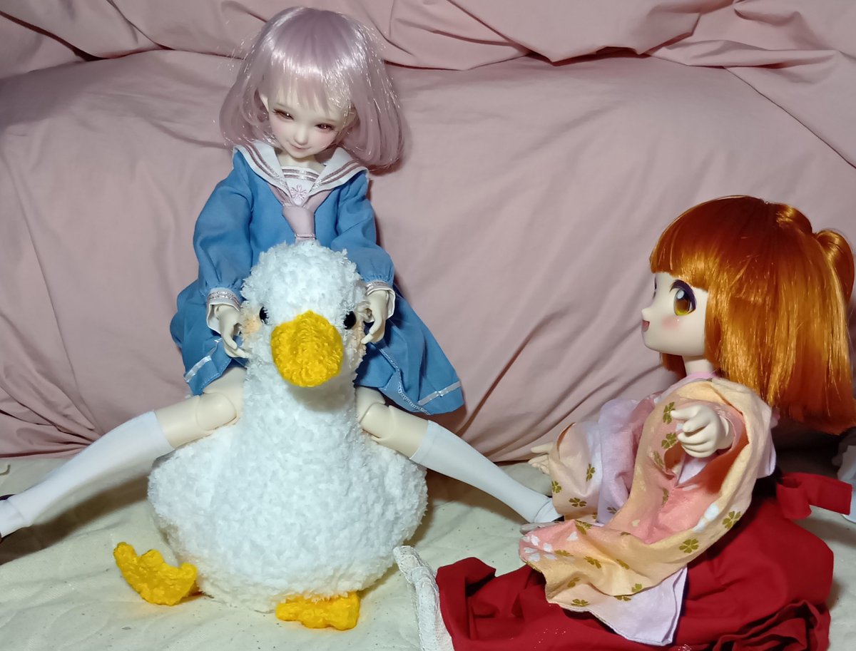 ururun_motch's tweet photo. あひる、案外行けるかも 乗ってみる?
「うん! …… わーい!」
「(にこにこ)」
「ん? りりも乗ってみる?」
「うん」
「よーし、乗ってみてー!」
……
「乗り、にくいかも」
「りりは足長いから…… はっ!?」
#おはドル
#アルル
#dingdang https://t.co/zJpaLE2nO3