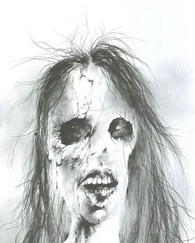 3CC0__'s tweet photo. Illustrations by Stephen Gammell https://t.co/wkuABpo3cx