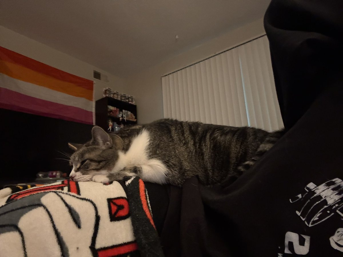 mammonopoly's tweet photo. baby chai when the activity (scrolling on tiktok) requires no baby chai https://t.co/UHsgXks0gY