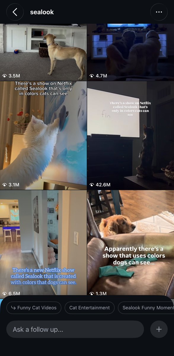 draqthedawg's tweet photo. This new show called Sealook is made of colors which Animals can see and it’s taking over social media. 

People are posting cute videos of their pets watching Sealook which is gaining millions of views on each post.

Just search sealook on x, TikTok or IG and see how viral it is 

25zzknGkWqt7hAU3Ns1H9CUhVVykKmDWnShHq5L2pump