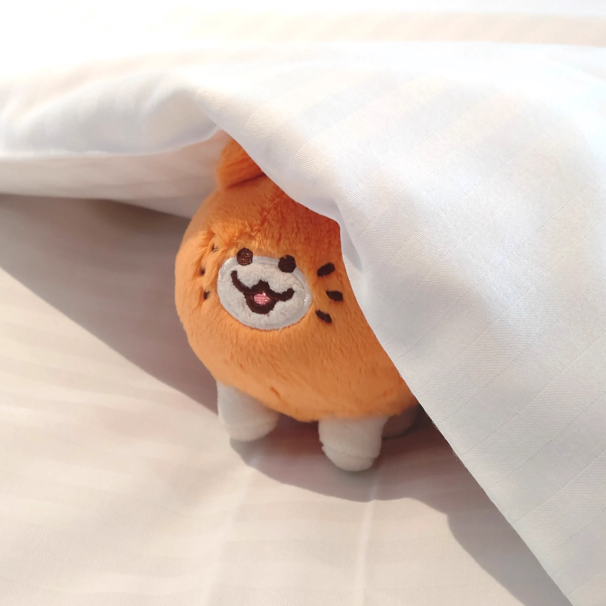 きのこ│みかんねこ🍊🐱arteVarie142【X54】 (@Kinoko0714) / X