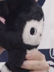 yuniiuwuu's tweet photo. same energy😭 https://t.co/NPpHa7NydK