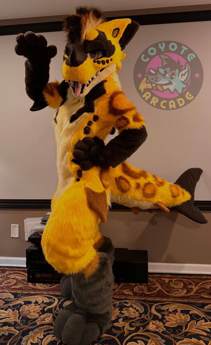 CoyoteArcade's tweet photo. Dorato the shark dragon! 🦈🐉 https://t.co/yfnHcO6sHy