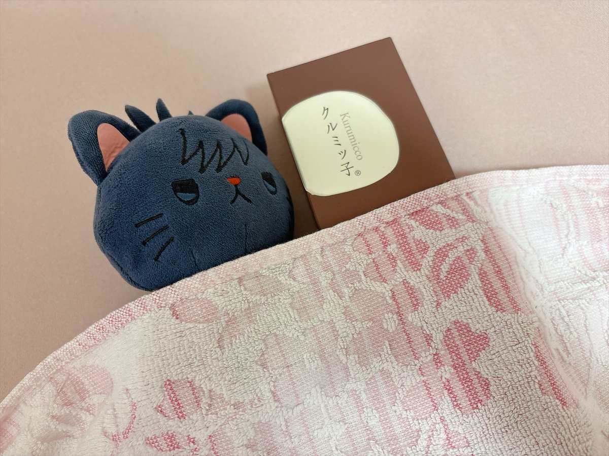 papiko_pkpk's tweet photo. 「みぃ、この子は俺の子です。俺が面倒を見ます」と、くるみっこと一緒に眠るめぐにゃんさん。 https://t.co/BEpVWUagCl