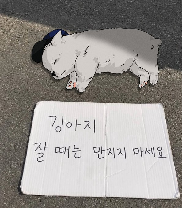 Big_Kims_DM's tweet photo. 오늘도 제삼이 보면서 힘내서 일해야지 https://t.co/IPll6yAklF