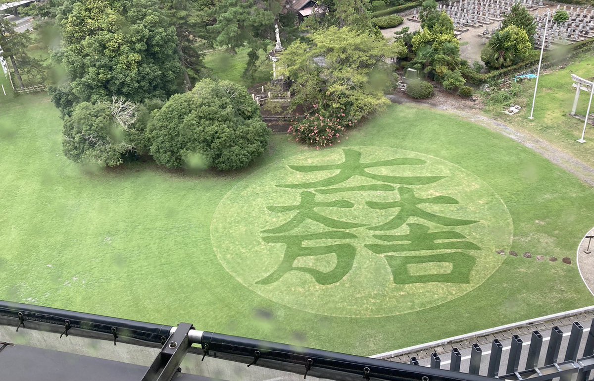 zibumitunari's tweet photo. 大丈夫……！今年は大一大万大吉芝生アートが関ヶ原に現れた……！！！！
これは実質、既に我らが一帯を支配下に置いたのと同じ！！！！！！

勝利は眼前にあり

#関ヶ原2026 https://t.co/TIFm0RwXQs
