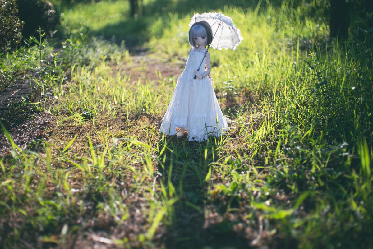 ore_memo2's tweet photo. 夏は返らない https://t.co/ptINCPnMiI