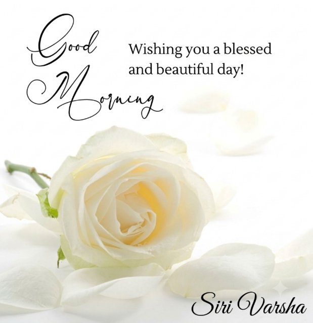 Varsha1896's tweet photo. 🌹❤️🌹 https://t.co/F6xo8mtByB