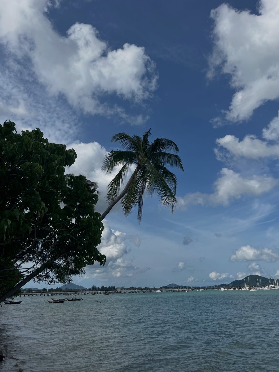 luyzera2010's tweet photo. 👩🏾🌊⚜️🌴🏝️🦐🦞.. https://t.co/KUUquyL4Td