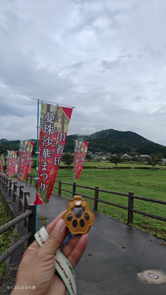 mp0S5OxxlKA17jE's tweet photo. 9/21(月)から埼玉県日高市 #巾着田 で #曼珠沙華まつり が開催されますよ。500万本の曼珠沙華は壮観‼️お近くの方は是非

#訪れた時よりも綺麗に
#はっ君と楽しいお散歩させてくれた山川草木大地に感謝を伝えながらゴミ拾い
#はっ君が原動力
#沢山の気づきと学びをはっ君ありがとう https://t.co/A8TGdQu0ei
