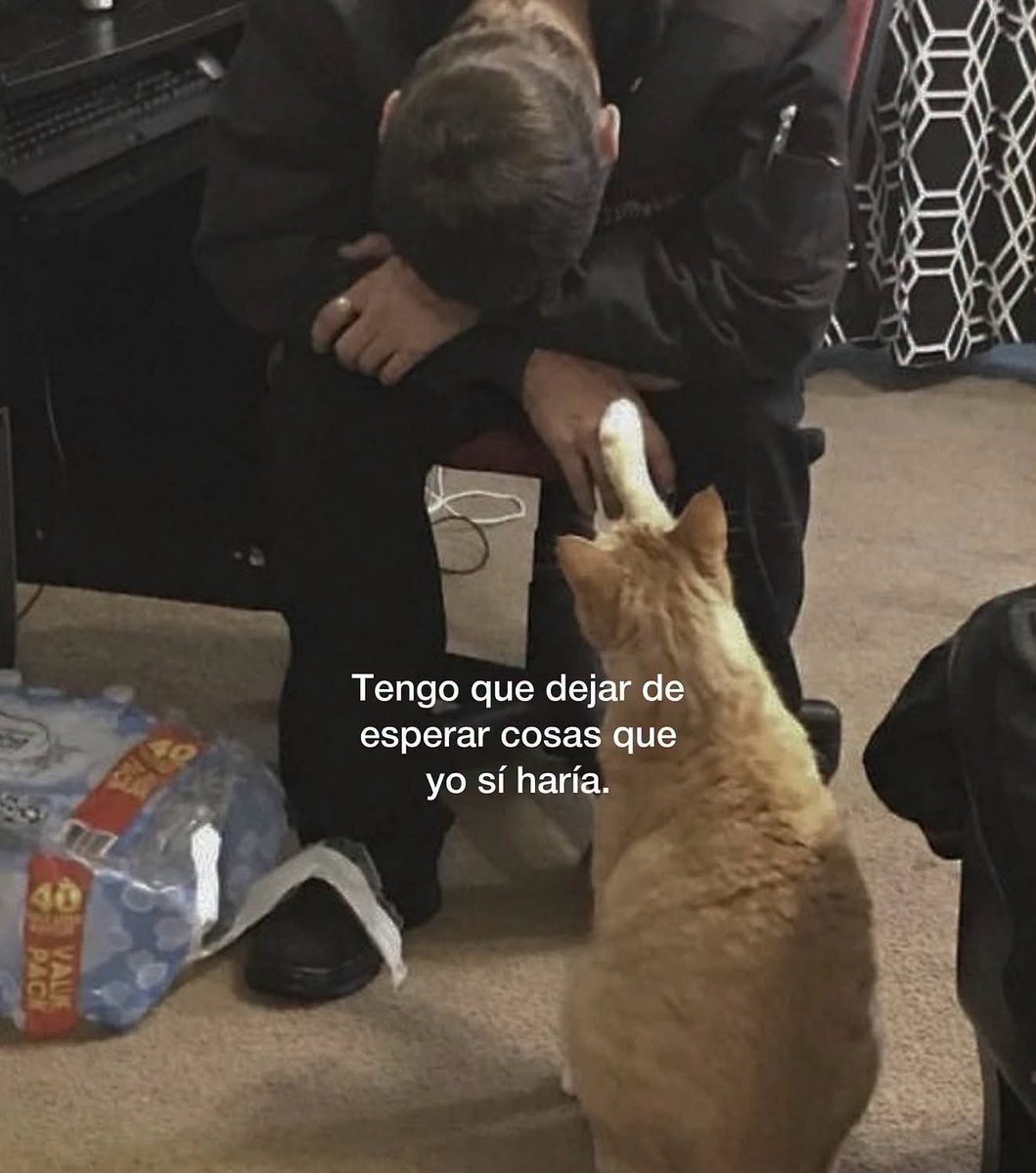 FraseSimple's tweet photo. https://t.co/L6BG0TqkbW