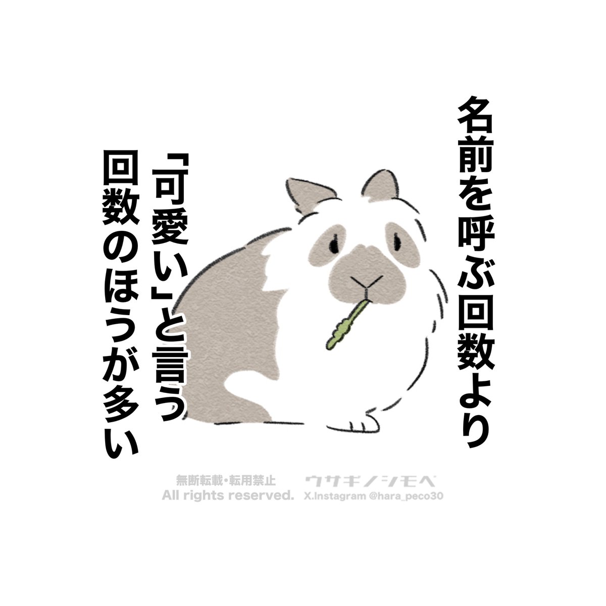 hara_peco30's tweet photo. うさぎ飼いあるある🐰 https://t.co/Di34NLTcdO