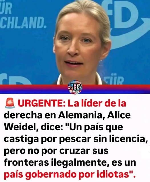 DapieCiudadano's tweet photo. https://t.co/WdRHUx91WO