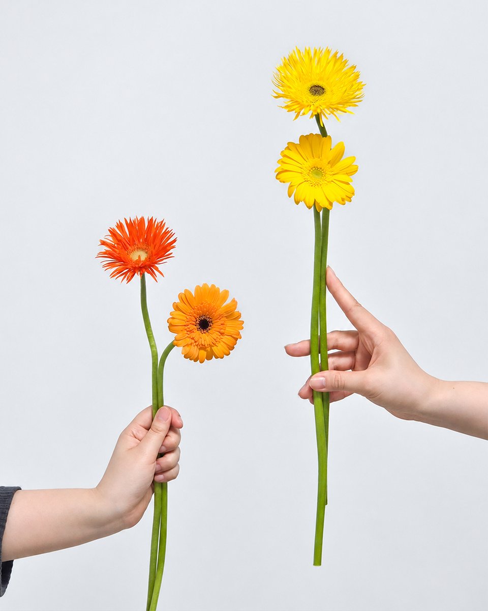Celimax_twt's tweet photo. 가을에도 셀리맥스와 함께해요.💚

<💐 셀리맥스 가을 미니 꽃다발 이벤트>

💚 마음+팔로우 : 20명
💚 미니 꽃다발&amp;셀리맥스 제품 랜덤 1종을 보내드려요.

*당첨자 발표 : 9월 30일(수)

*해당 이미지는 참고를 위한 사진으로, 실제 발송되는 꽃다발의 디자인은 발송 시점에 따라 다를 수 있습니다. https://t.co/FTazxVwi1W