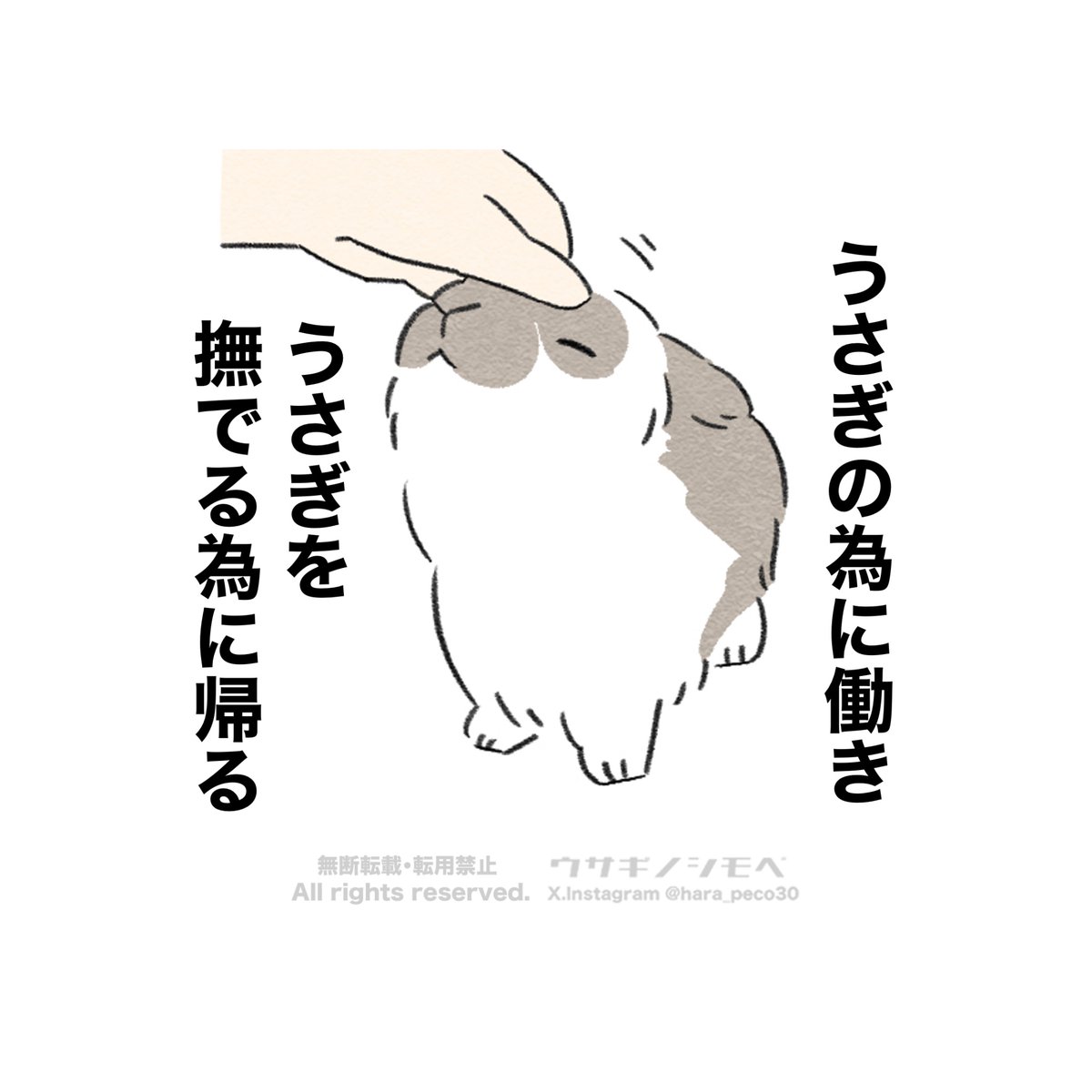 hara_peco30's tweet photo. うさぎ飼いあるある🐰 https://t.co/YNNykN5AWK