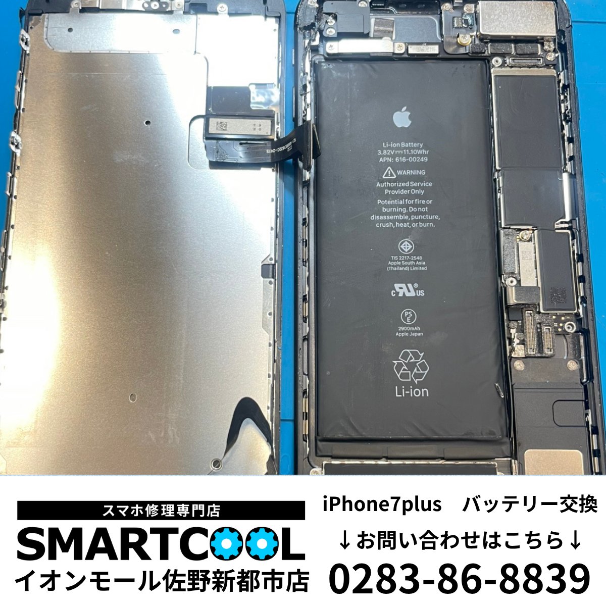 scsanoshintoshi's tweet photo. こんにちは 
🛠️スマートクール佐野新都市店です🛠️  
本日はiPhone7plusのバッテリー交換を行いました！ 
こちらバッテリーが膨張しており、液晶が浮いていました。 
お気軽にご相談ください👌👌  
ご来店お待ちしております📷 
https://t.co/mXQcDf5PRO

#佐野市 #スマートクール #修理屋さん https://t.co/K4W4GSulN0