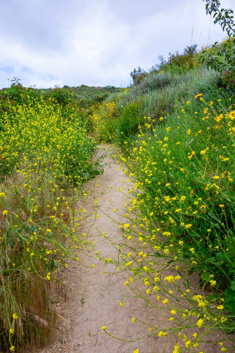 KatePullyrokm's tweet photo. Life’s messy detours are just scenic routes to where you’re meant to bloom. The “wrong” turns They’re how you find your best version. https://t.co/6O7R3R6pSl