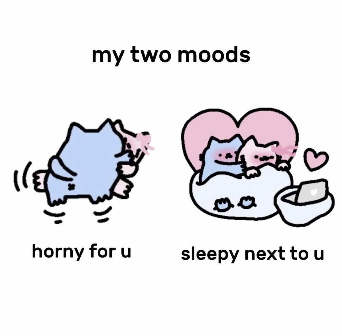 NubCatMemes's tweet photo. https://t.co/PneJPr2O92