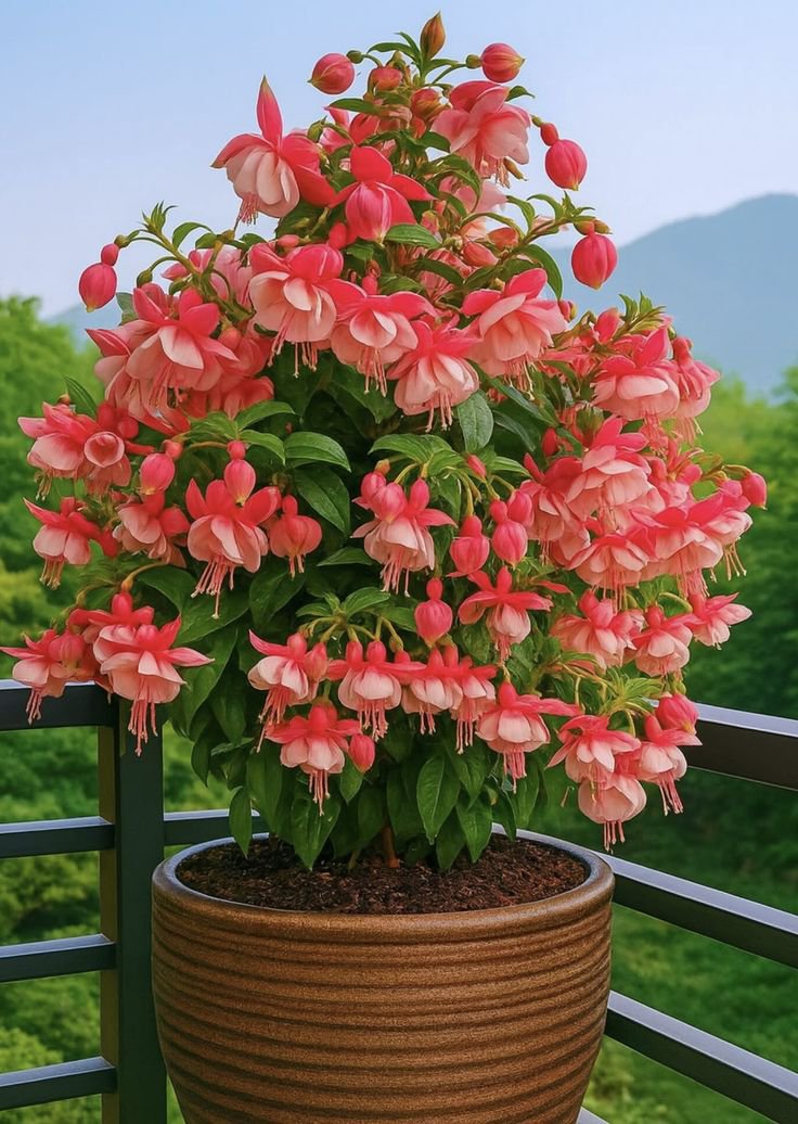 test06net tweet picture