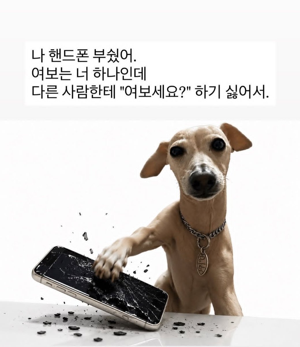 wang_dukong's tweet photo. 미 친 거 미 https://t.co/kTdqJbAEC1