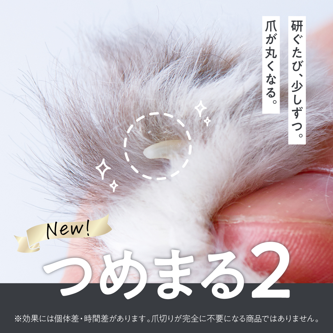 nyansinc's tweet photo. 爪が、丸い。

研ぐたび、少しずつ。
押さえつけなくても、猫は自分で爪先を整えていきます。

2026年9月16日、【つめまる2】リニューアルして新発売。

※効果には個体差があります。爪切りが不要になる商品ではありません。