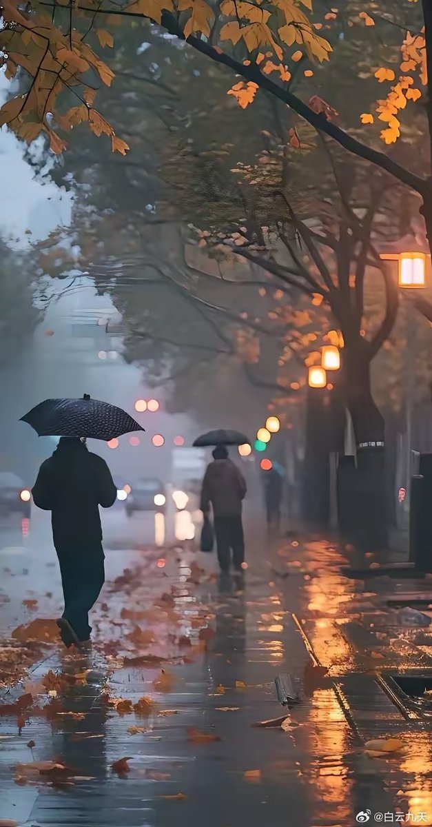 VellaBlatt47e's tweet photo. A stranger shared their umbrella with me in the sudden rain today—small act, warmest heart that made my whole day brighter. https://t.co/f6JFot4cP5