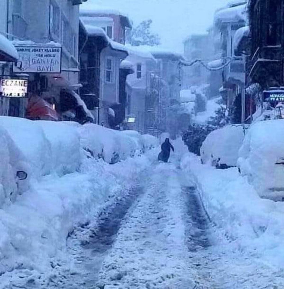 kayamerthasan_'s tweet photo. 1987 kışında Emirgân sokakları https://t.co/eNCghBgWuc