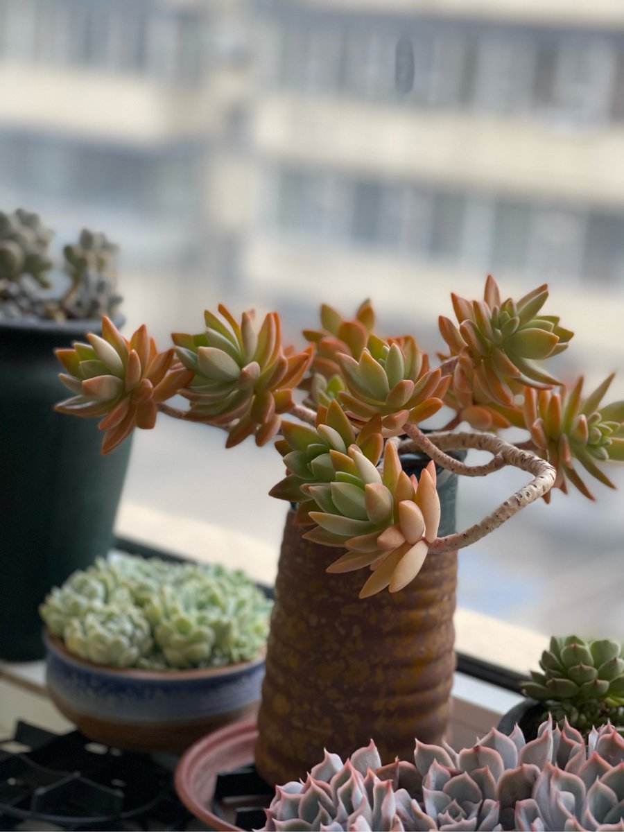 RichardJurhcc's tweet photo. Life’s twists taught me that being kind to the messy parts of yourself is the bravest kind of growth. https://t.co/hnLxQmpFmK