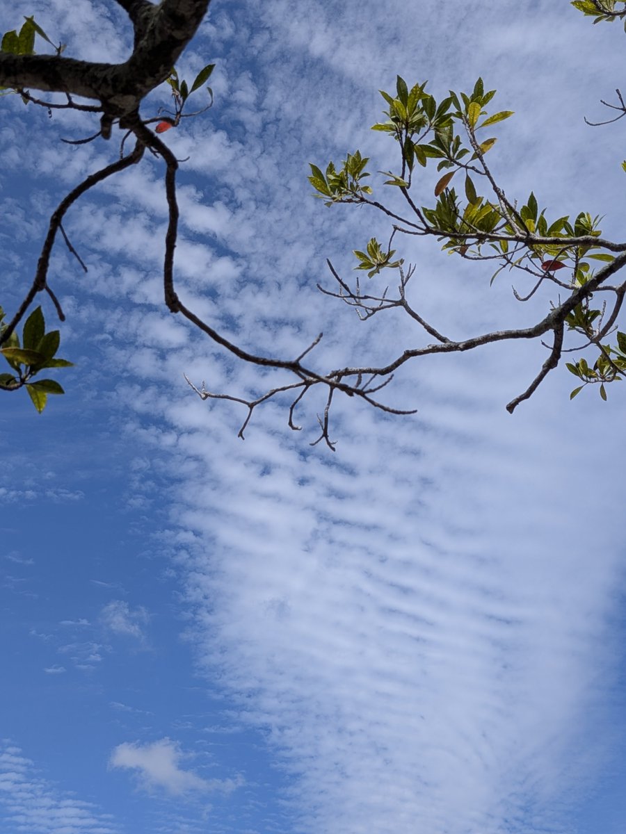 toshitaka3776's tweet photo. 秋空

#イマソラ https://t.co/fQfTVU3hl2