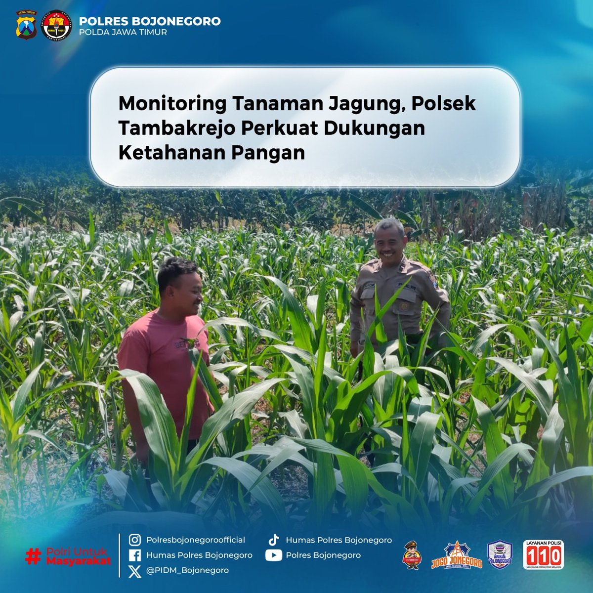 EkoDedyZld's tweet photo. Polsek Tambakrejo Polres Bojonegoro terus berperan aktif mendukung program ketahanan pangan nasional melalui monitoring dan pendampingan tanaman jagung di Desa Napis, Kecamatan Tambakrejo Kegiatan tersebut menjadi bagian dari komitmen Polri dalam mendukung Asta Cita Presiden RI https://t.co/QeFI7L6ZIt