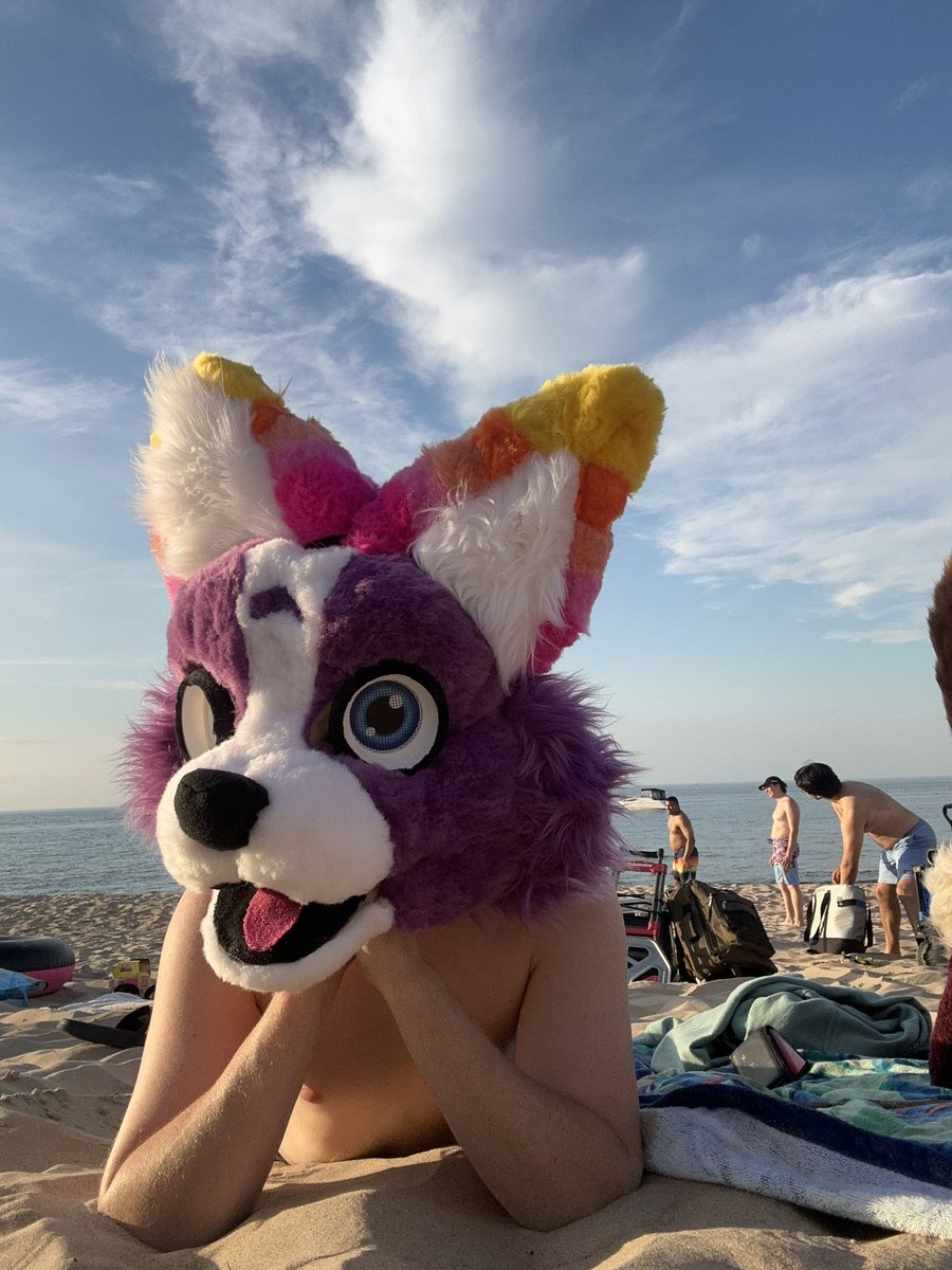 Raolcan's tweet photo. Had so much fun at the Indiana dunes this last Saturday :3 https://t.co/Y8lRGVb44I