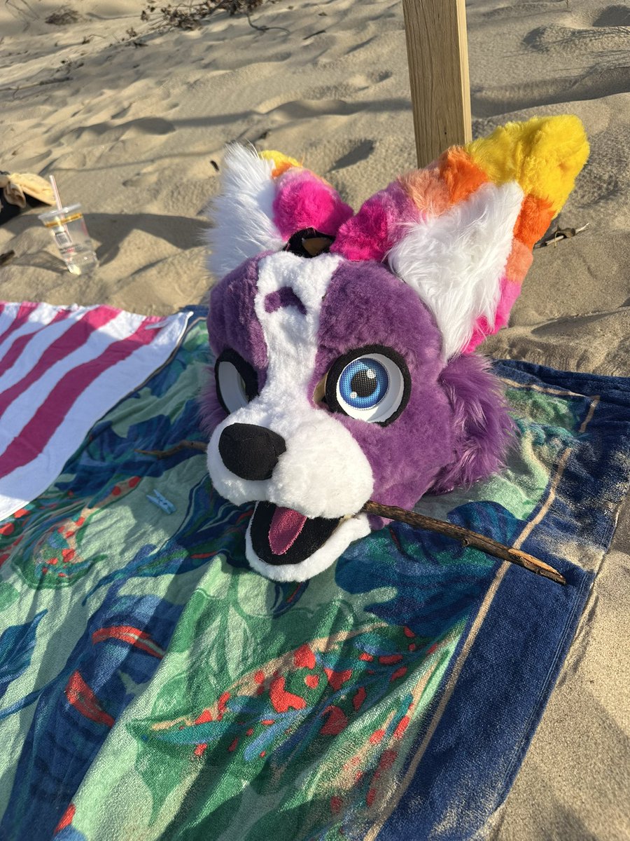 Raolcan's tweet photo. Had so much fun at the Indiana dunes this last Saturday :3 https://t.co/Y8lRGVb44I