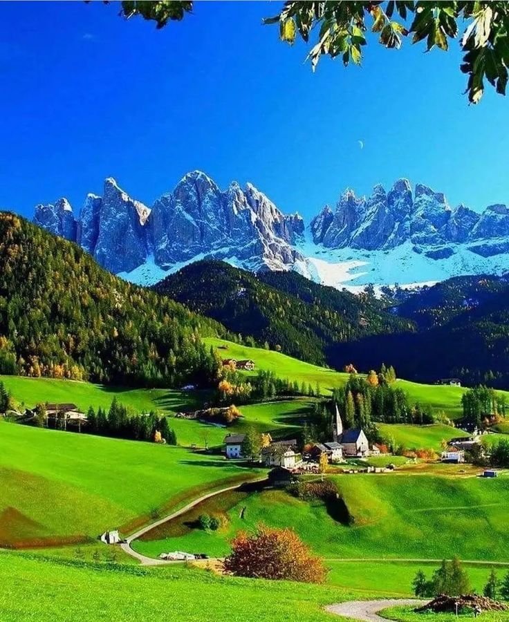 NatureRoot88's tweet photo. Switzerland 🇨🇭 https://t.co/oN9qwelMGQ