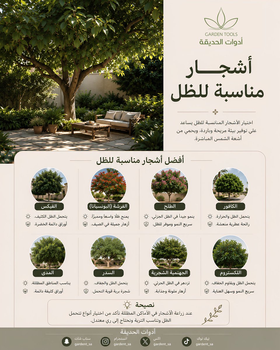 gardent_sa's tweet photo. أشجار مناسبة لظل ✨

#أدوات_الحديقة #ورود #اشجار #حدائق https://t.co/VXi1HnY5Aj