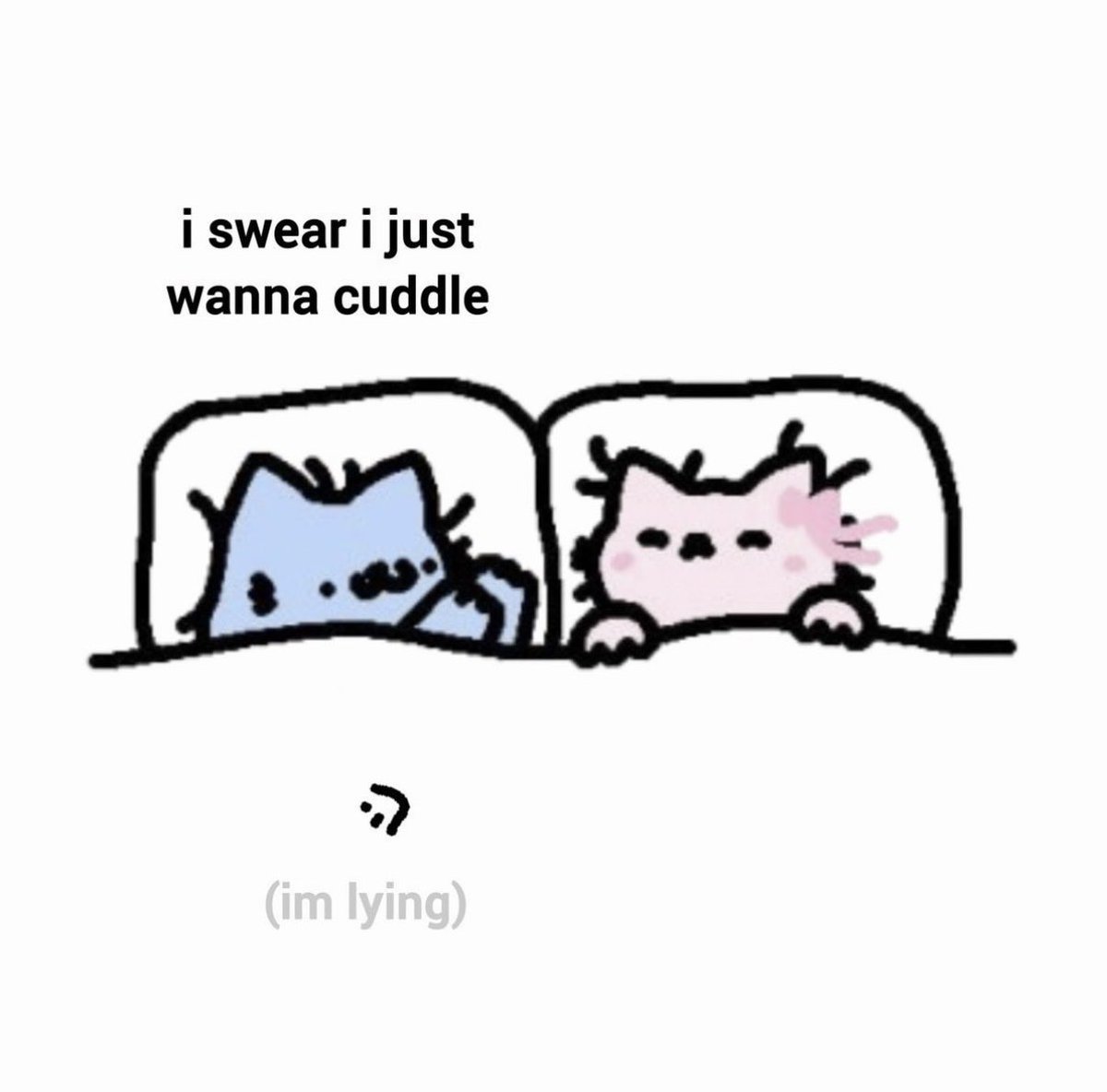 NubCatMemes's tweet photo. https://t.co/TGzi2b8ATJ