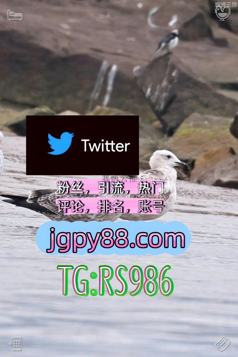 gaby68821035's tweet photo. 愿你历经风雨仍能笑着面对生活一切🐽
推特账号购买排名号 
上热门 海外获客🌺互推助手🎌数字货币🍁 海外获客🪐主人的任务🌱
粉丝号 自动脚本
世界杯 关键词霸屏🧳熱門🌈权重号🌟推特老号🍄定時發推💐 https://t.co/wOQmoNAt5d