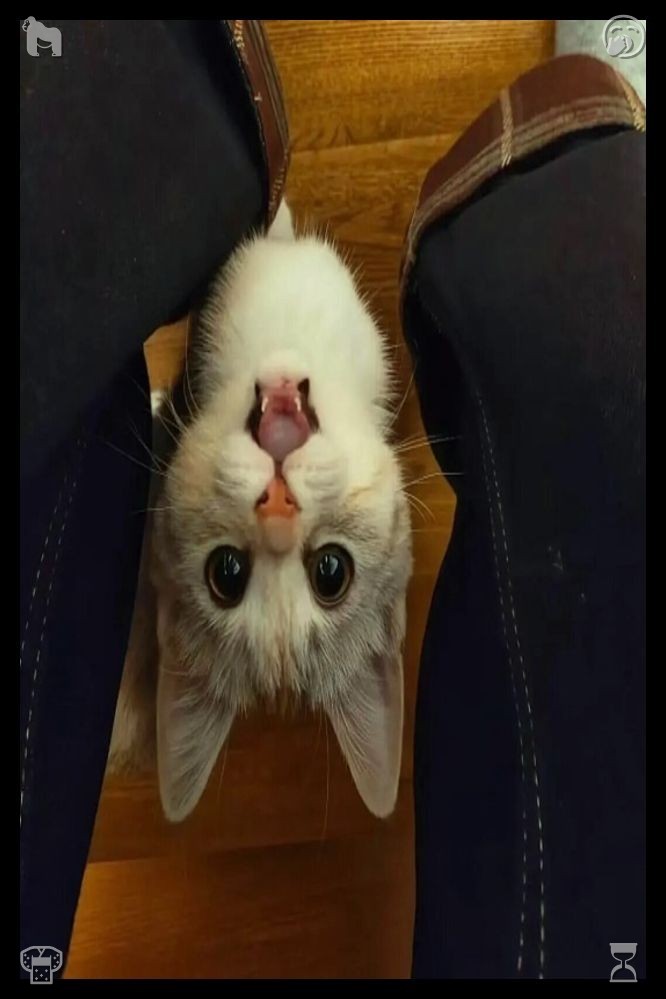 fernandabiazus's tweet photo. 🛏Art exhibition
Emerging creators
Strike a balance between downtime and drive once you complete minor chores. A short break revitalizes your thoughts, but too much inactivity weakens self-control and hinders advancement toward every essential life objective. https://t.co/JZtnotbeNb
