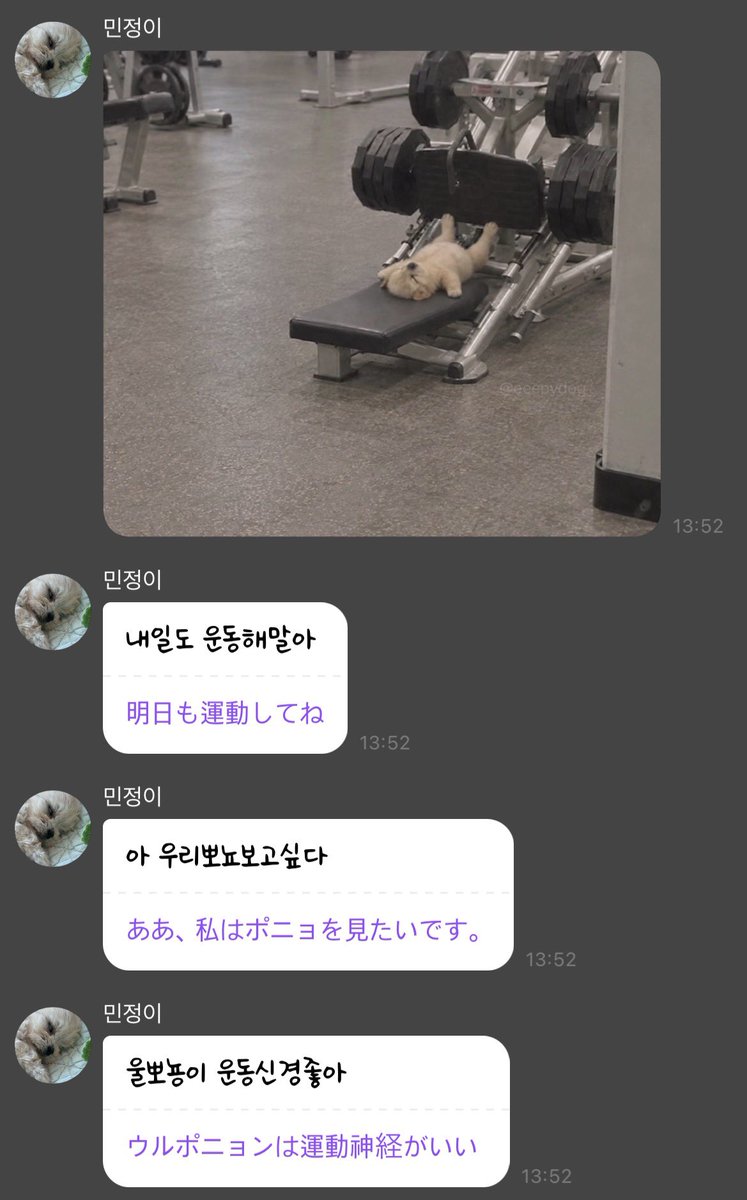 ydf12940's tweet photo. 運動神経が良くて超外向的で走るのが好きで耳が大きいポニョ(⌇ຶД⌇ຶ) https://t.co/XasX268wUD